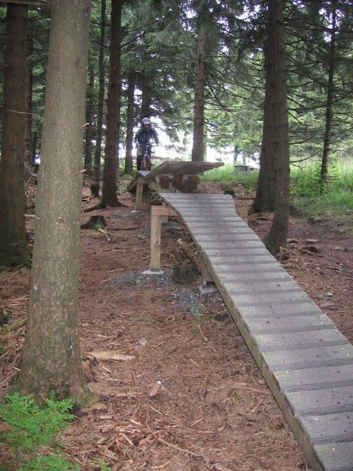 Heimaturlaub Waldoase Daire Goslar Dış mekan fotoğraf